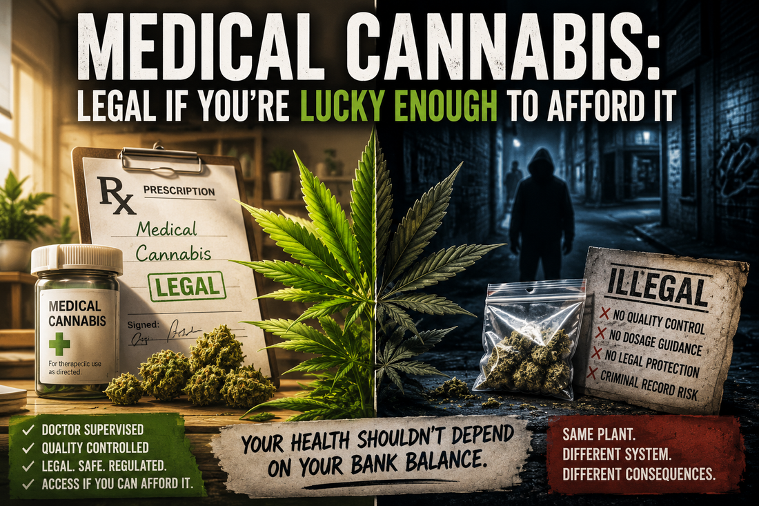The Cannabis Contradiction – Part 2
